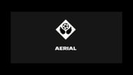 Aerial Playstyle icon (Image via EA)